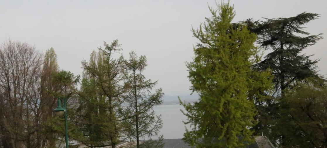 Magnifique T3 Face Au Lac เอวิยงเลบานส์ ภายนอก รูปภาพ